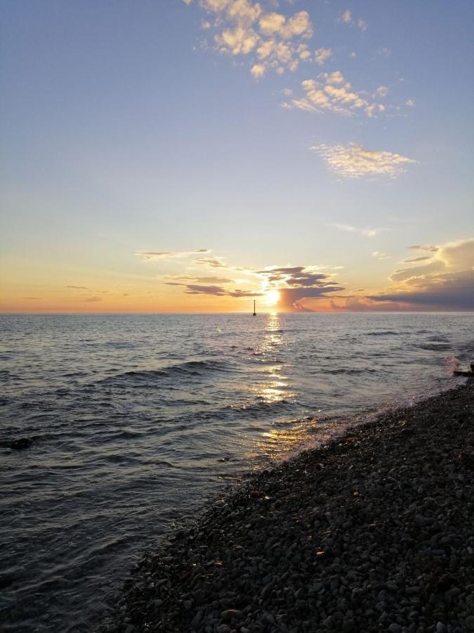 Apartments Pepe Novigrad Istria Esterno foto